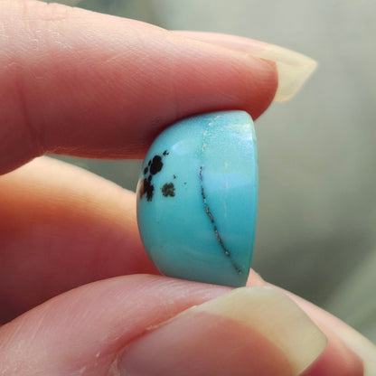 Turquoise #309 | Kingman