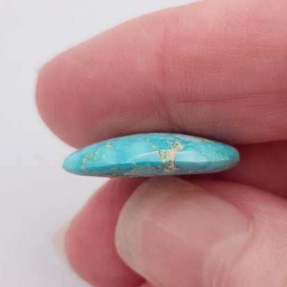 10.93ct Pilot Mountain Turquoise | Oval Cabochon | #525