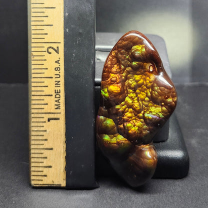 97.57ct Loose Mexican Fire Agate | Freeform Cabochon | #7