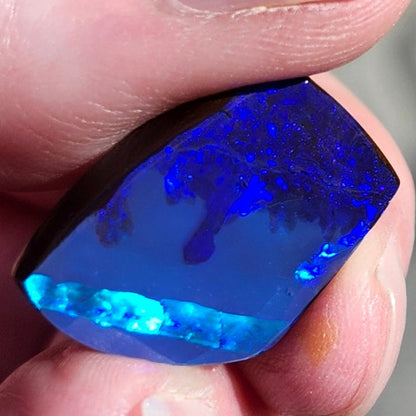 16.59ct Quilpie Black Boulder Opal | #E230