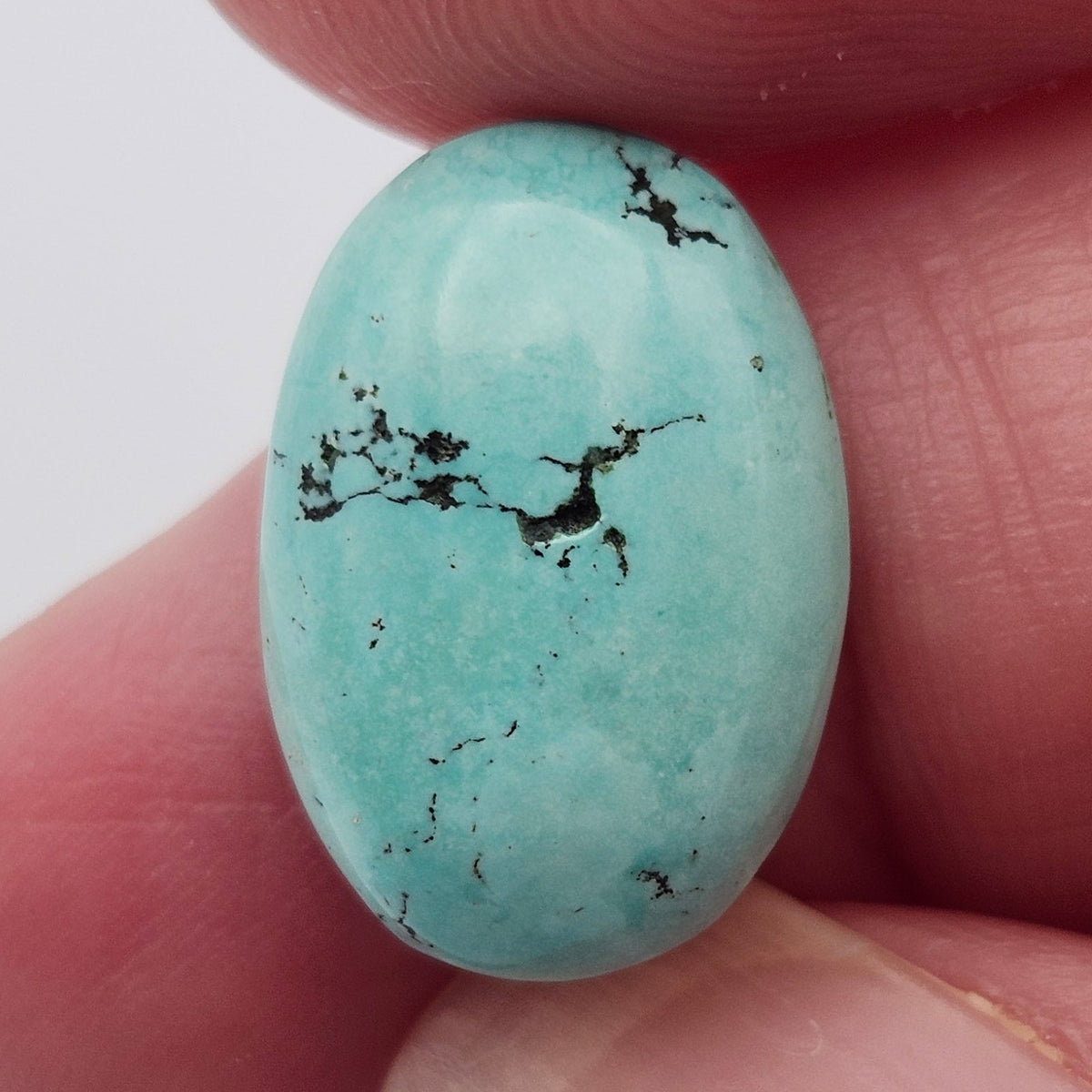 5.70ct Pilot Mountain Turquoise | Oval Cabochon | #527