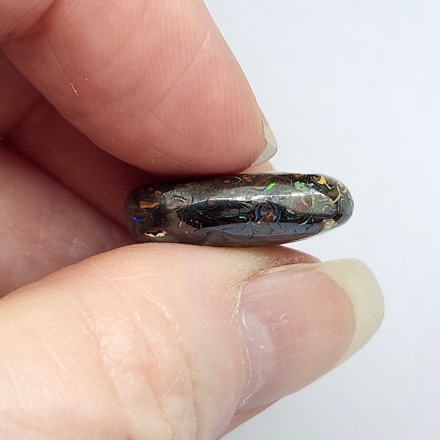 13.90ct Koroit Boulder Matrix Opal | #E262