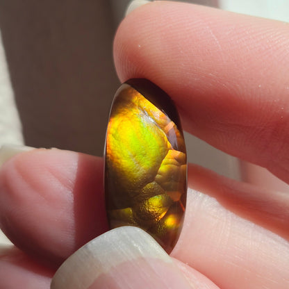 11.34ct Loose Fire Agate | Freeform Oval Cabochon
