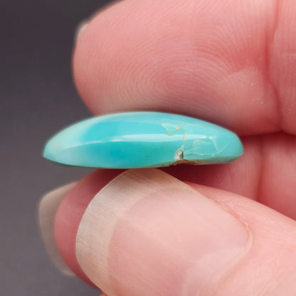 11.66ct Pilot Mountain Turquoise | Oval Cabochon | #522
