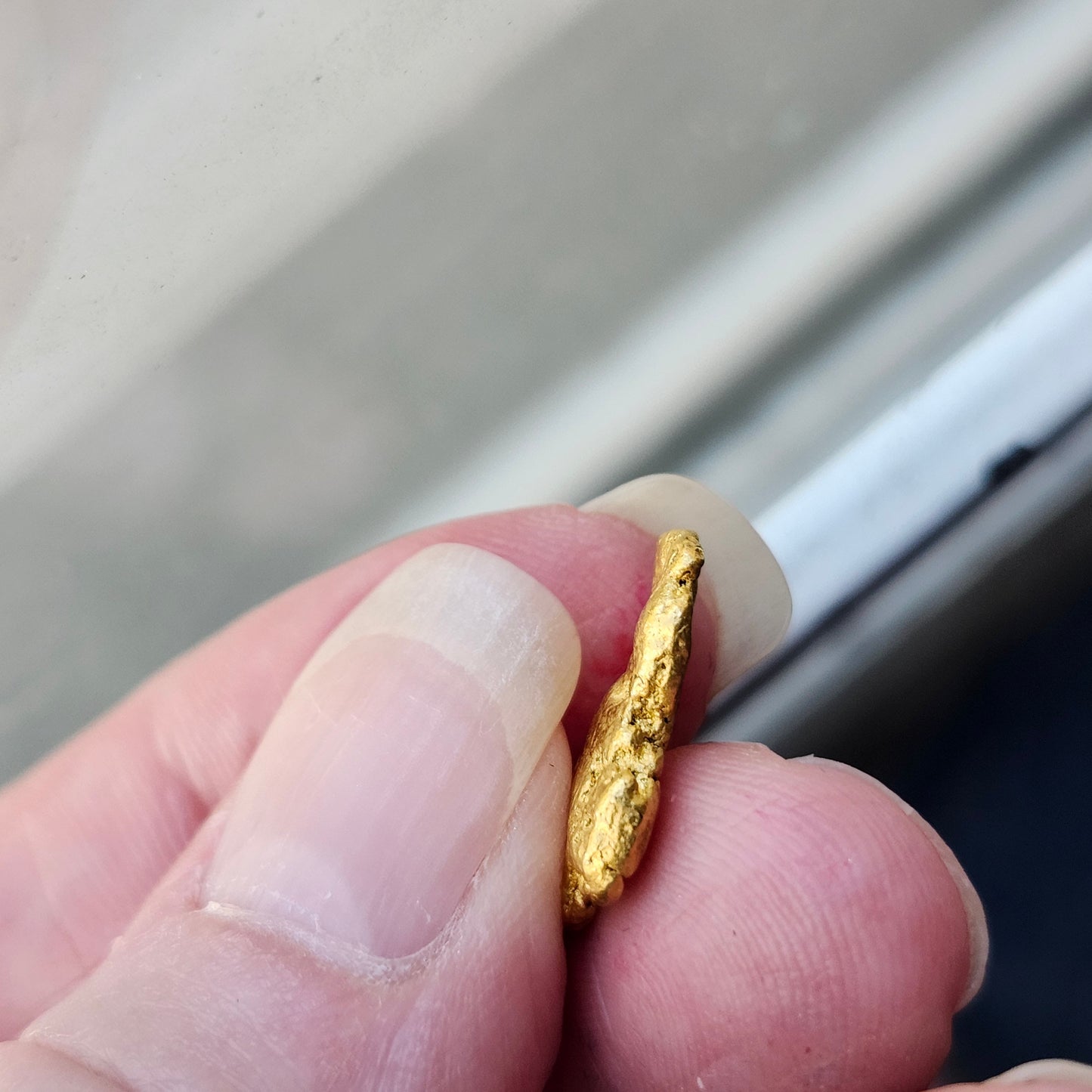 "Leava" 3.26g California Gold Nugget | 23 kt