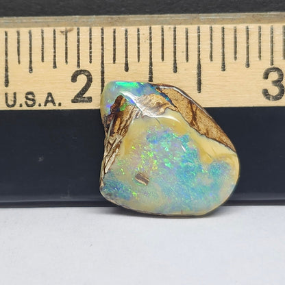 9.24ct Koroit Boulder Matrix Opal | #E261