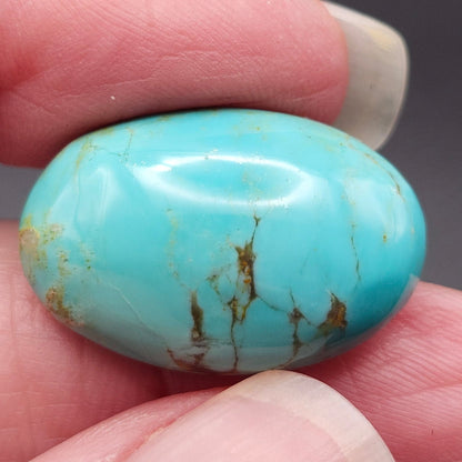20.98ct Pilot Mountain Turquoise | Oval Cabochon | #518
