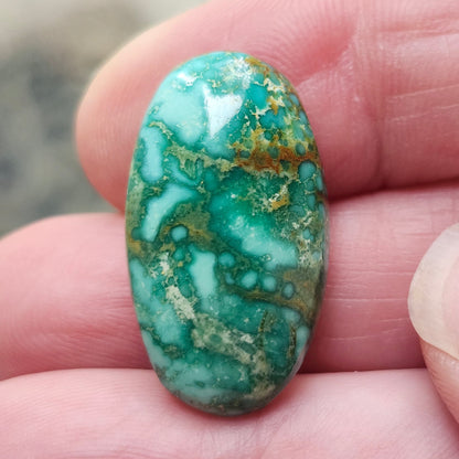 Turquoise #187 | Royston | Oval Cabochon Cut