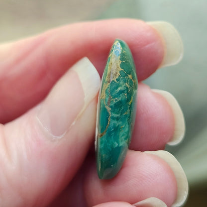 Turquoise #113 | Royston