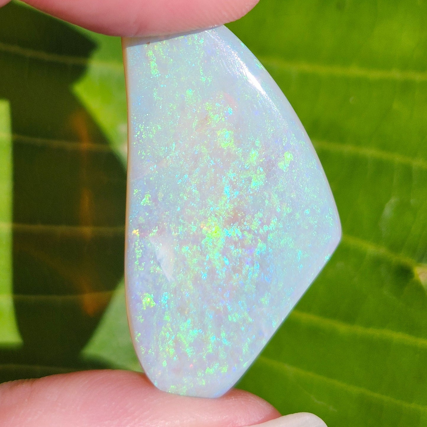 26.03ct Freeform Lightning Ridge Australian Crystal Opal | #E271
