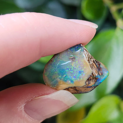 9.24ct Koroit Boulder Matrix Opal | #E261