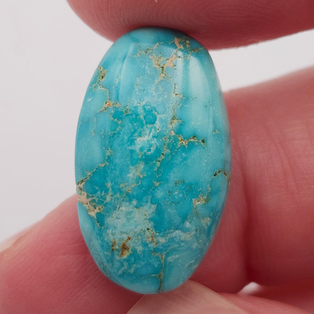 10.93ct Pilot Mountain Turquoise | Oval Cabochon | #525