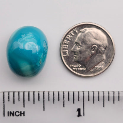 19.14ct Pilot Mountain Turquoise | Oval Cabochon | #523