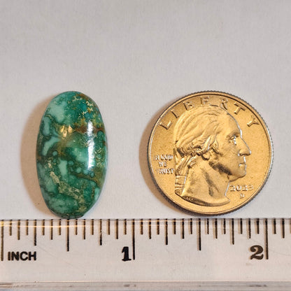 Turquoise #187 | Royston | Oval Cabochon Cut