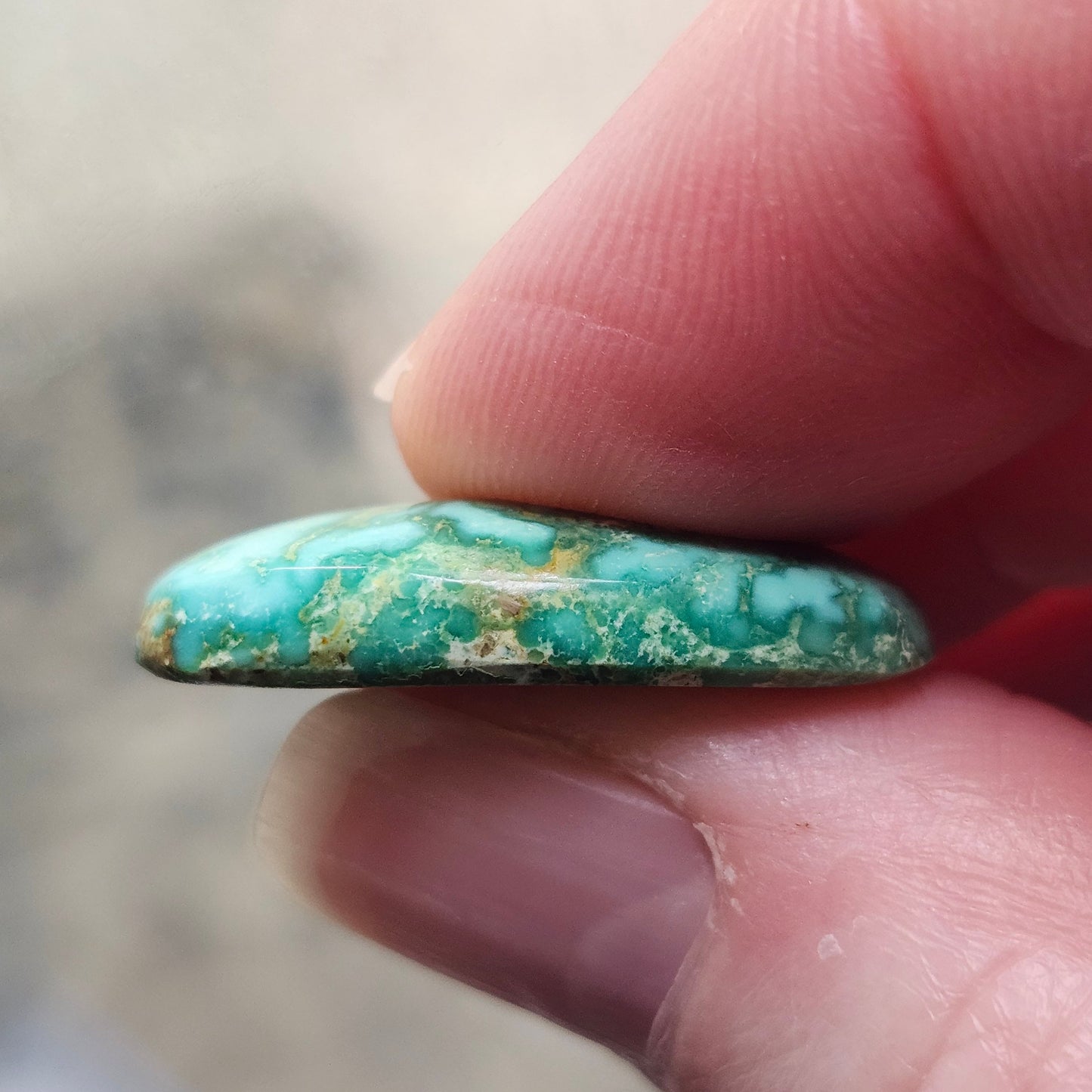 Turquoise #187 | Royston | Oval Cabochon Cut