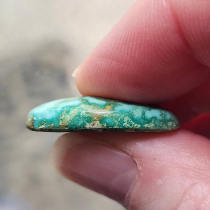 Turquoise #187 | Royston | Oval Cabochon Cut