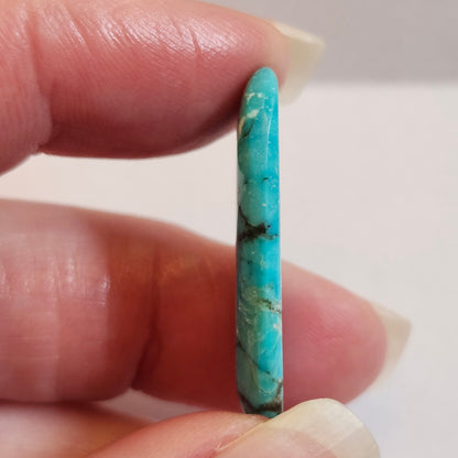 Turquoise #308 | Bisbee