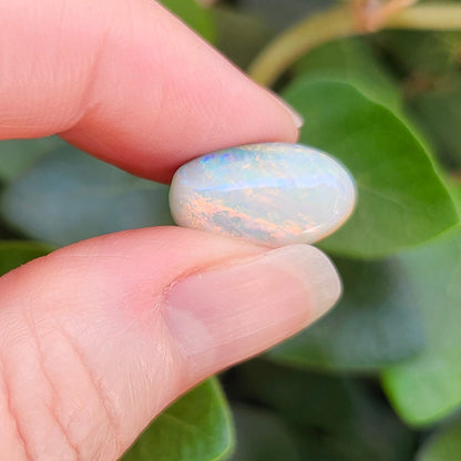8.56ct Quilpie Boulder Opal | #E251