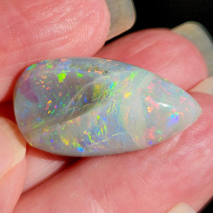 14.44ct Lightning Ridge Semi-Black Australian Opalized Fossil Shell | Freeform Pear | #E289