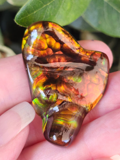52.20ct Loose Slaughter Mountain Fire Agate | Freeform Cabochon | #8