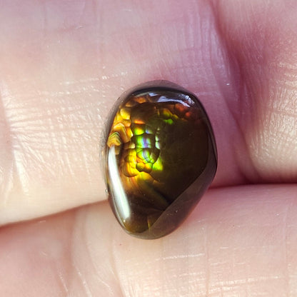 3.12ct Loose Fire Agate | Oval Cabochon