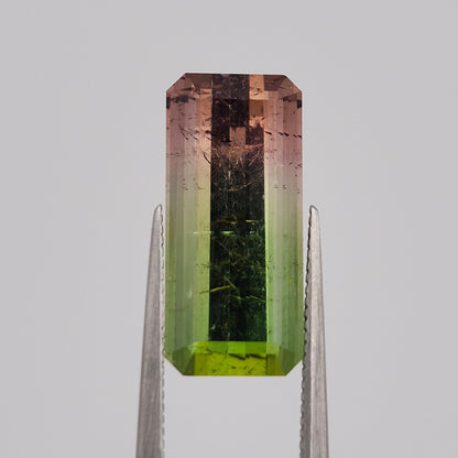 6.53ct Tri-Color Brazilian Tourmaline | Faceted Emerald Cut