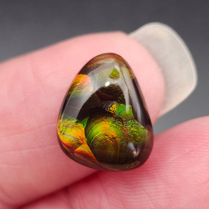 3.69ct Loose Fire Agate | Freeform Pear Cabochon