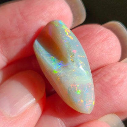 14.44ct Lightning Ridge Semi-Black Australian Opalized Fossil Shell | Freeform Pear | #E289
