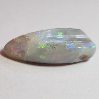 14.44ct Lightning Ridge Semi-Black Australian Opalized Fossil Shell | Freeform Pear | #E289