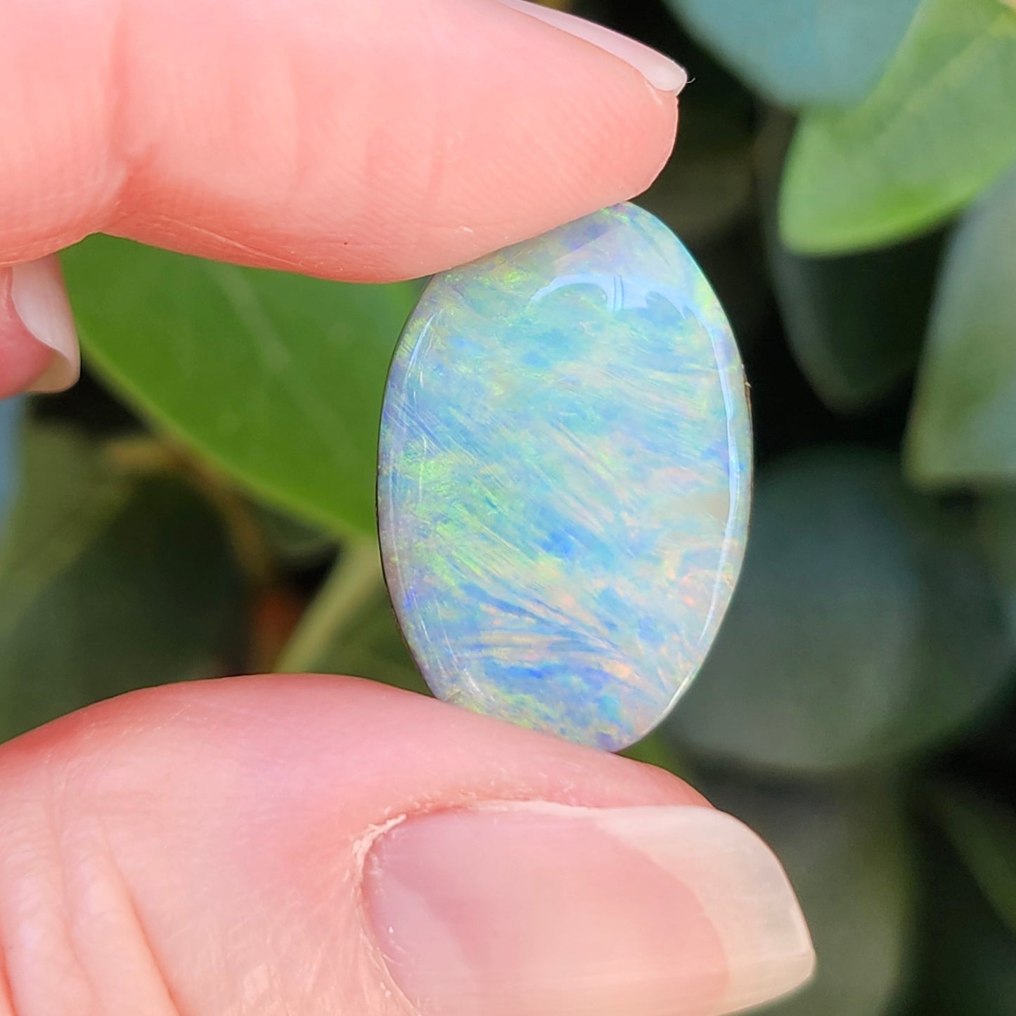 15.51ct Quilpie Boulder Opal | #E250