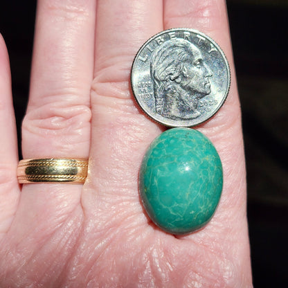 Turquoise #252 | Royston | Oval Cabochon Cut