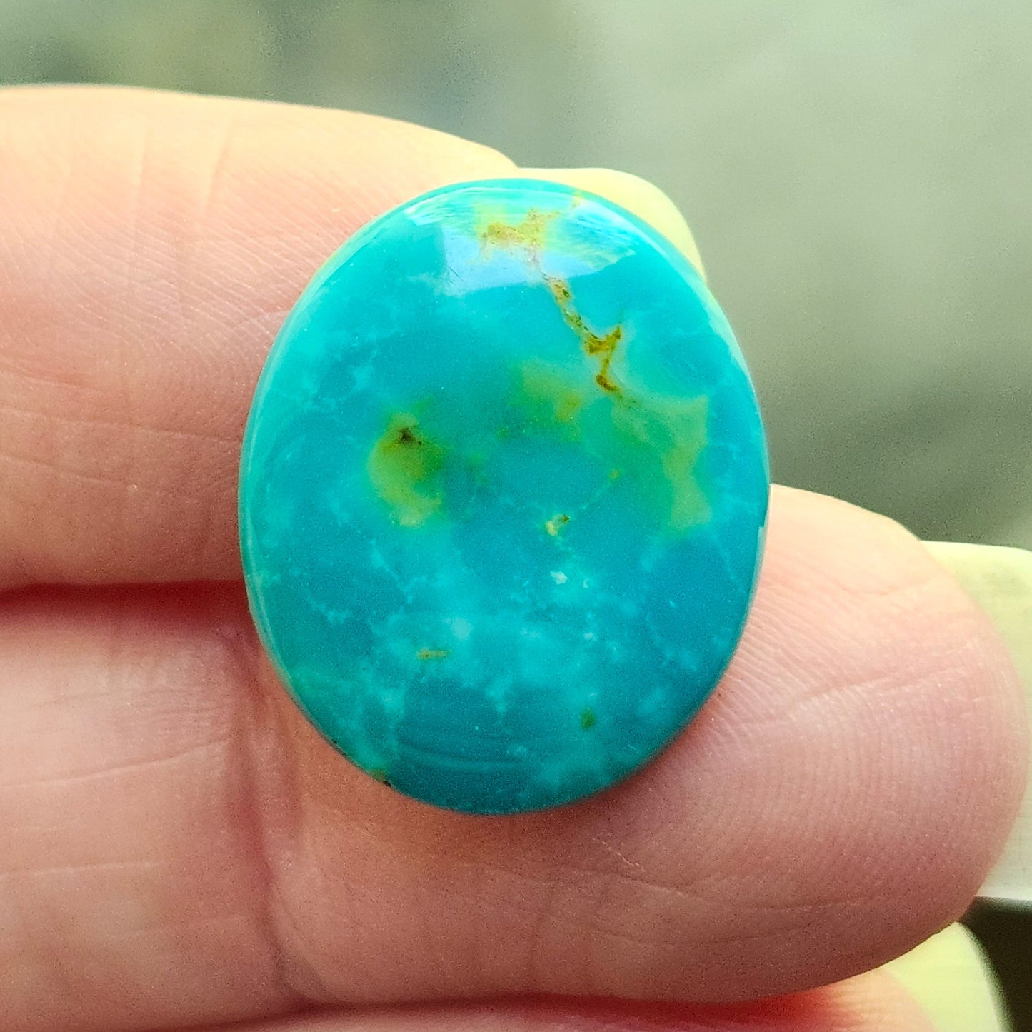 Turquoise #305 | Royston