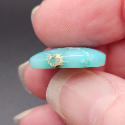 10.55ct Pilot Mountain Turquoise | Oval Cabochon | #519