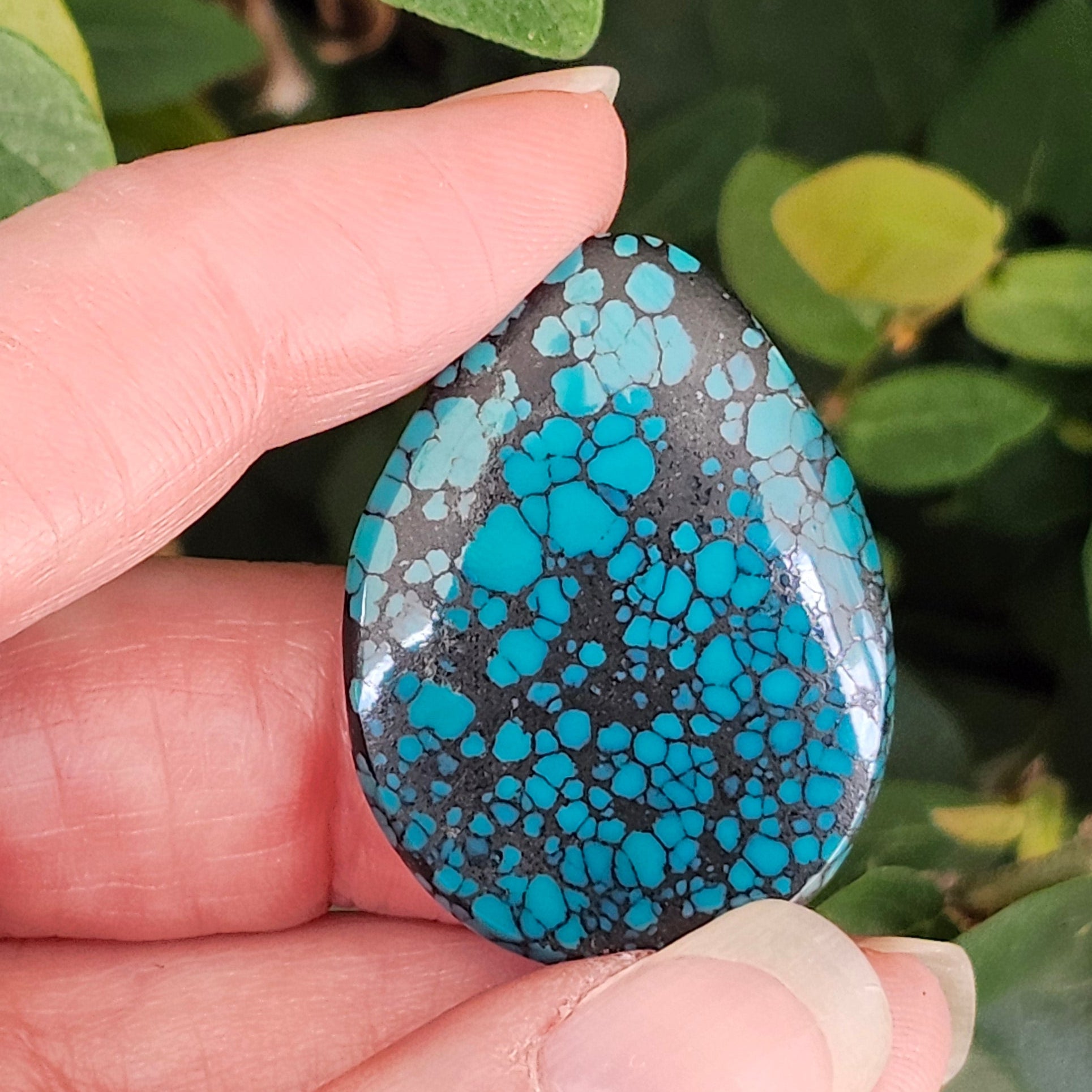 34.70ct Lone Mountain Spiderweb Turquoise Cabochon | Burton's