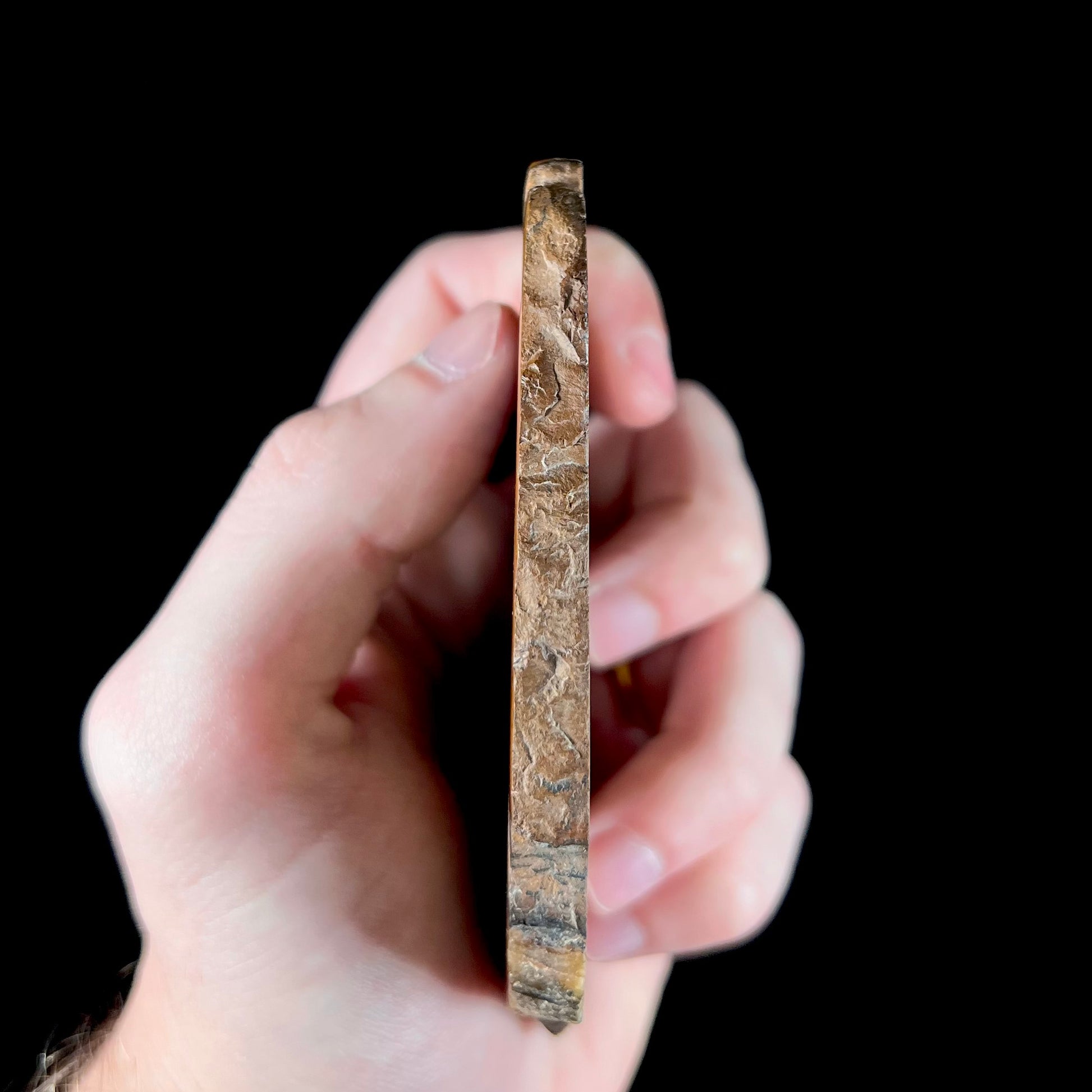 A polished slab of yellow tiger's eye with blue streaks.