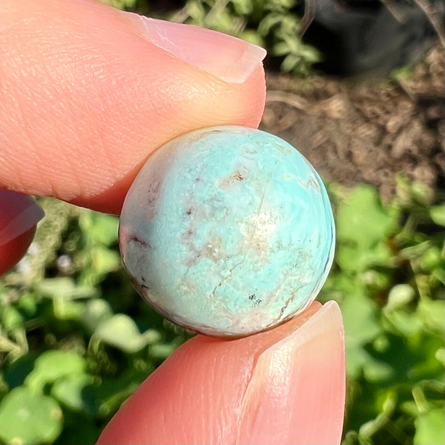 A loose, round cabochon cut Valley Blue turquoise stone.