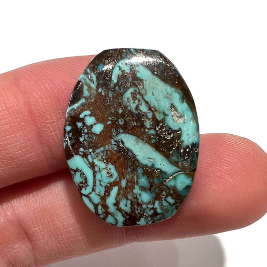 A loose, barrel cabochon cut turquoise stone from Royston District, Nevada.  The stone is greenish blue with brown and black matrix.