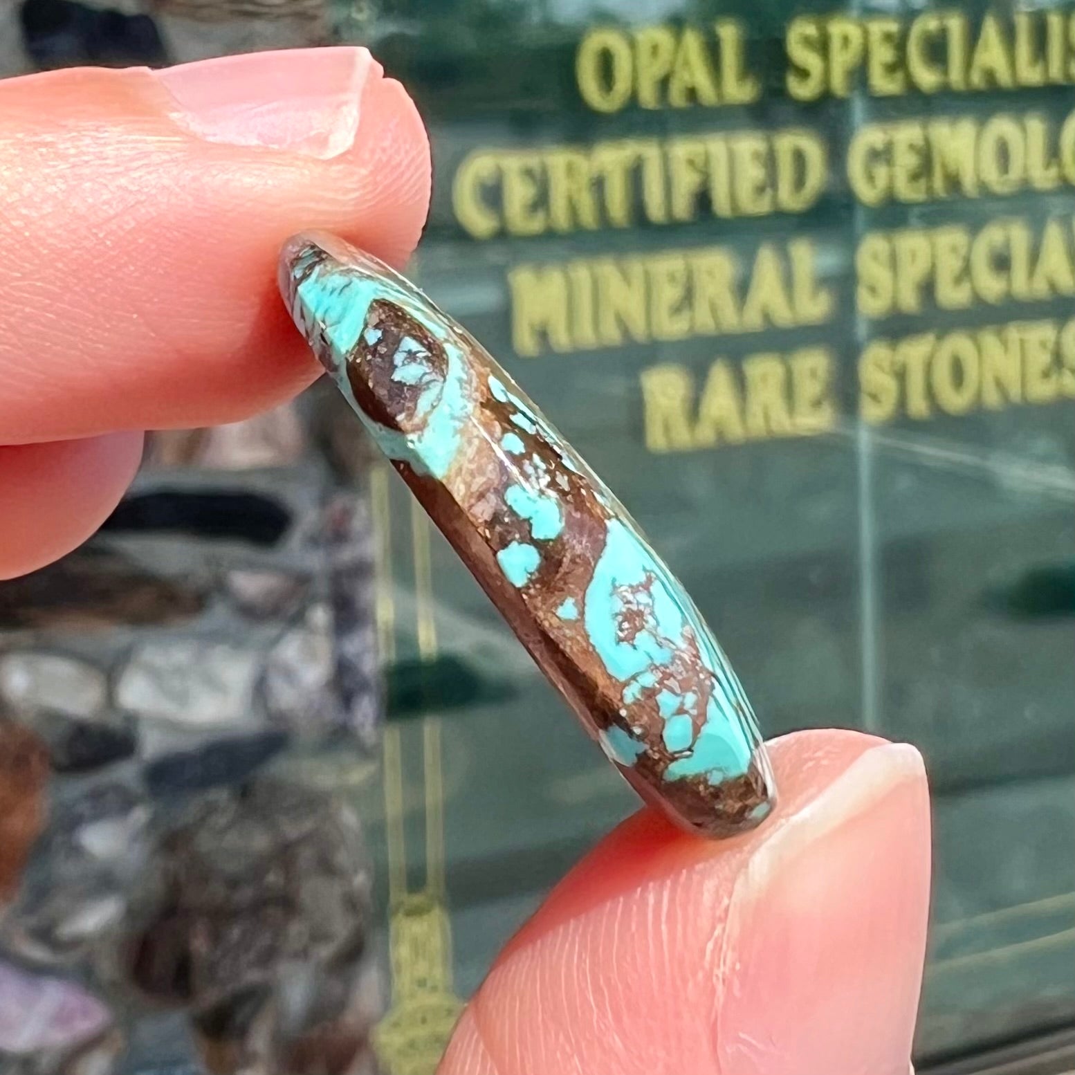 A loose, barrel cabochon cut turquoise stone from Royston District, Nevada.  The stone is greenish blue with brown and black matrix.