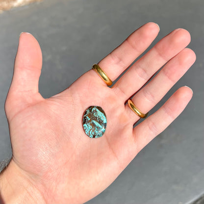 A loose, barrel cabochon cut turquoise stone from Royston District, Nevada.  The stone is greenish blue with brown and black matrix.
