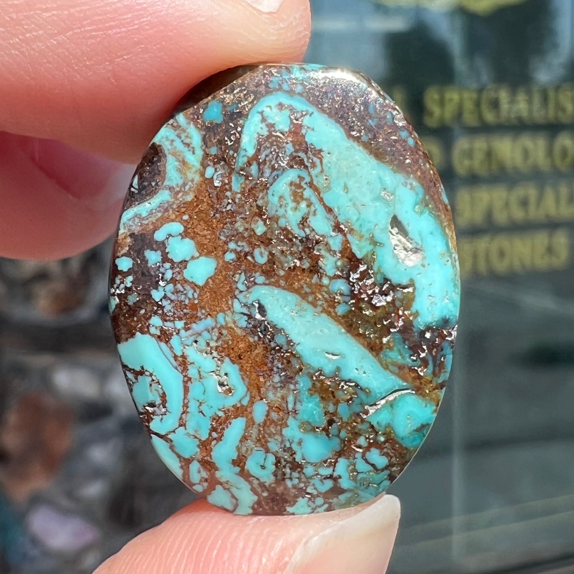 A loose, barrel cabochon cut turquoise stone from Royston District, Nevada.  The stone is greenish blue with brown and black matrix.