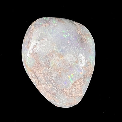 An opalized seashell fossil that displays play of color.  The full color spectrum is visible, including red, green, blue, and purple.