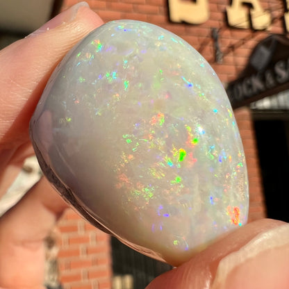 An opalized seashell fossil that displays play of color.  The full color spectrum is visible, including red, green, blue, and purple.