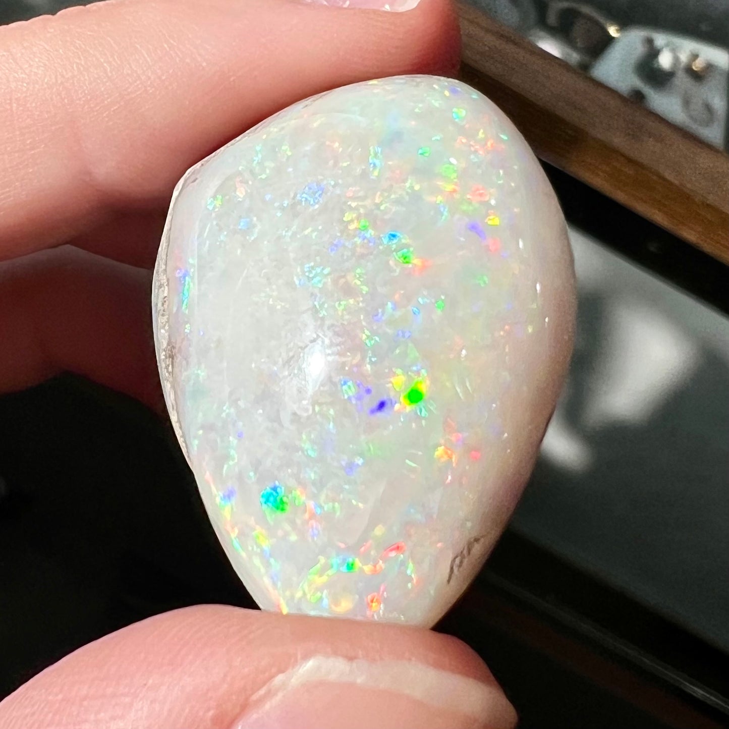 An opalized seashell fossil that displays play of color.  The full color spectrum is visible, including red, green, blue, and purple.