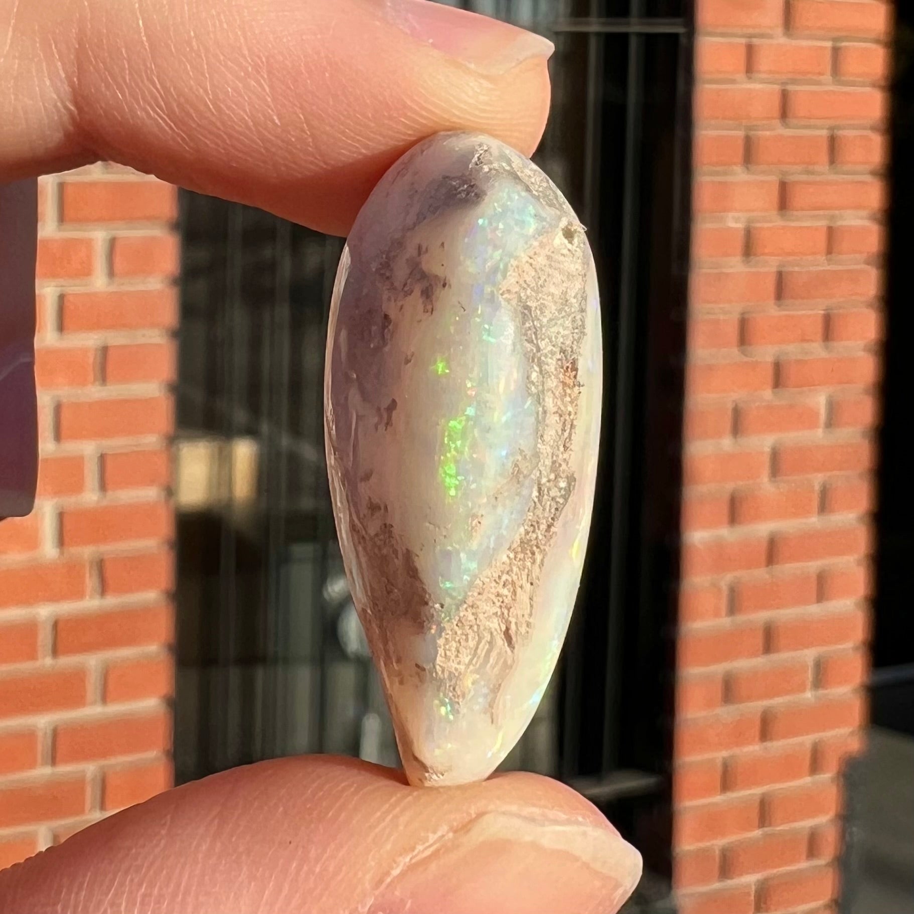 An opalized seashell fossil that displays play of color.  The full color spectrum is visible, including red, green, blue, and purple.