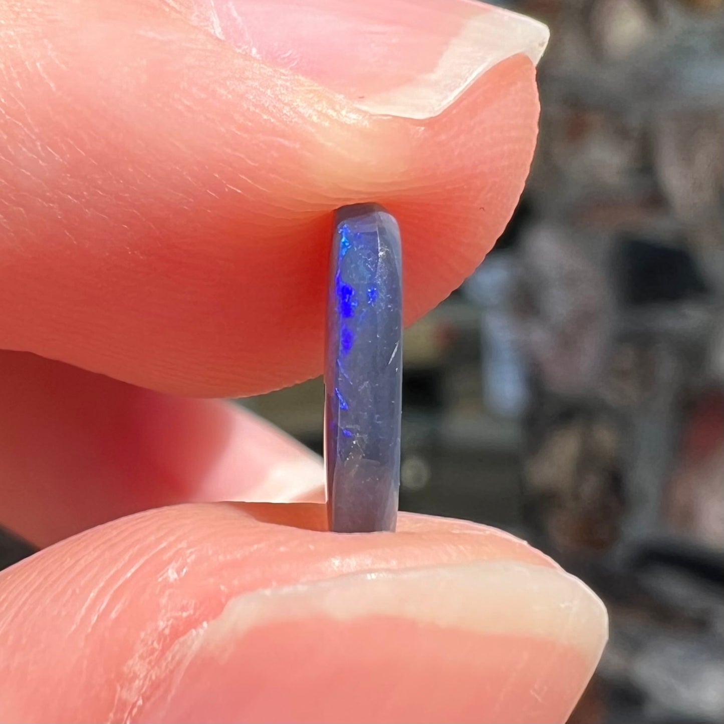 A loose, oval cabochon cut black opal stone from Lightning Ridge, Australia.  The opal has blue color play.