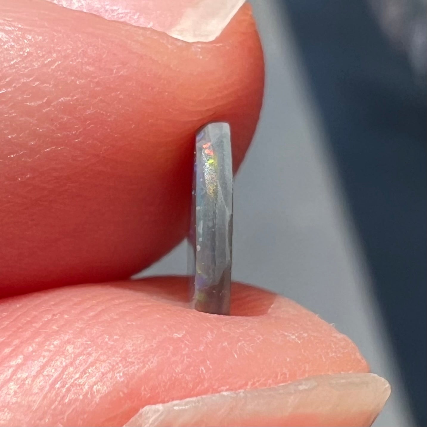 A loose oval cabochon cut black opal from Lightning Ridge, Australia.  The opal shows green and red colors.