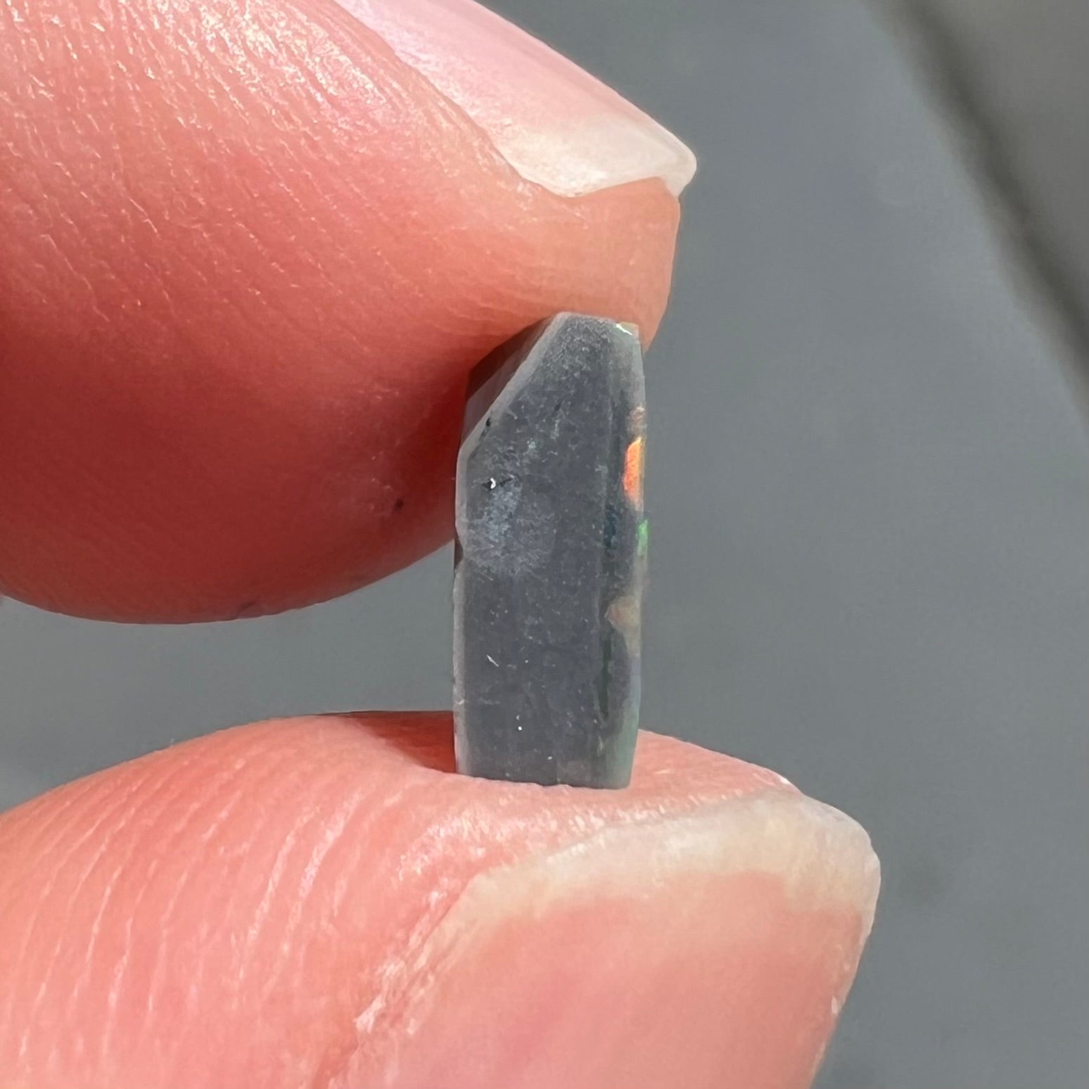 A loose, freeform cut black opal stone from Lightning Ridge, Australia.  The opal shines bright orange colors.