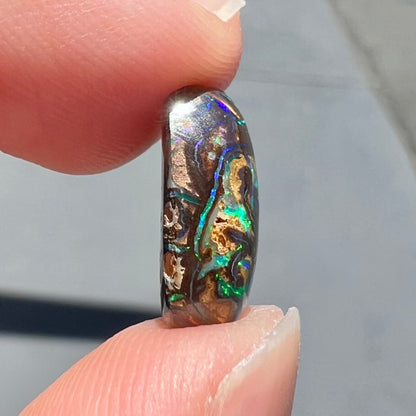 A loose, Koroit boulder opal stone.  The opal plays bright blue and green colors on a patterned matrix.