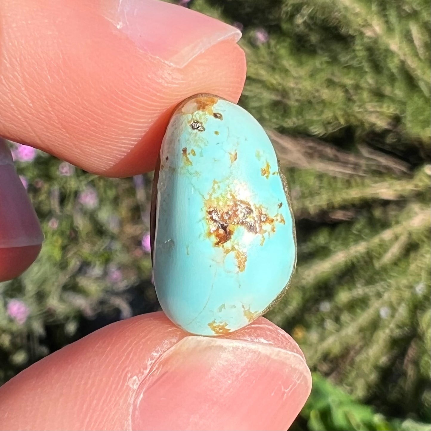 A loose turquoise cabochon from the Sleeping Beauty Mine in Arizona.  The stone is light blue with brown matrix.