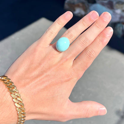 Turquoise #249 | Sleeping Beauty